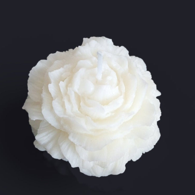 Pivoine
