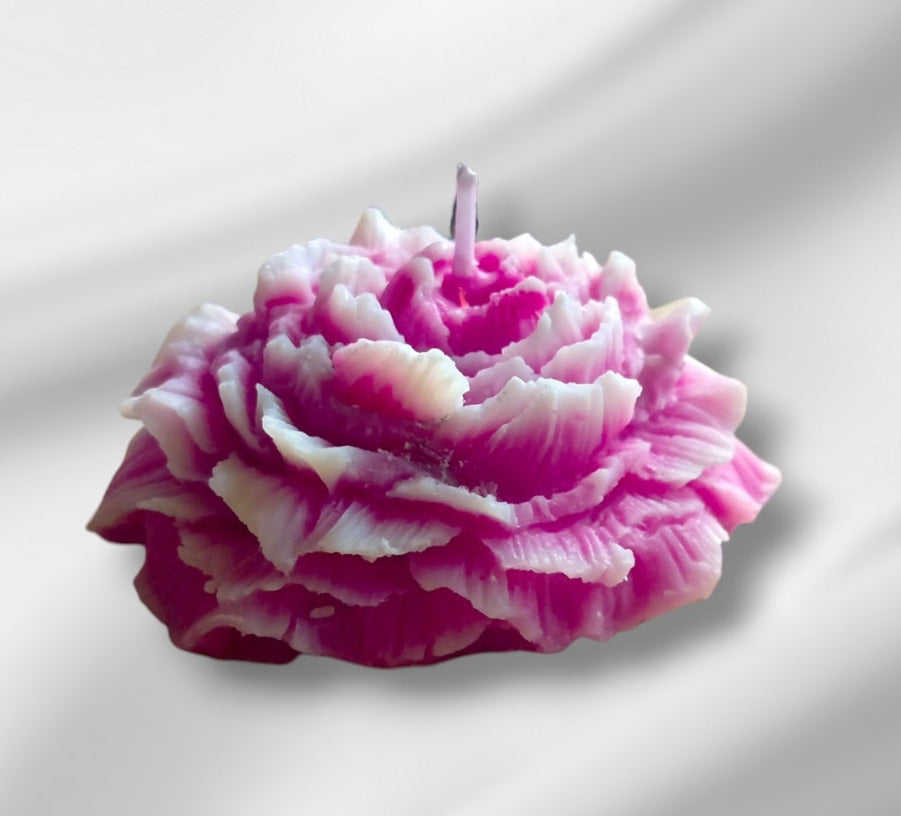 Pivoine