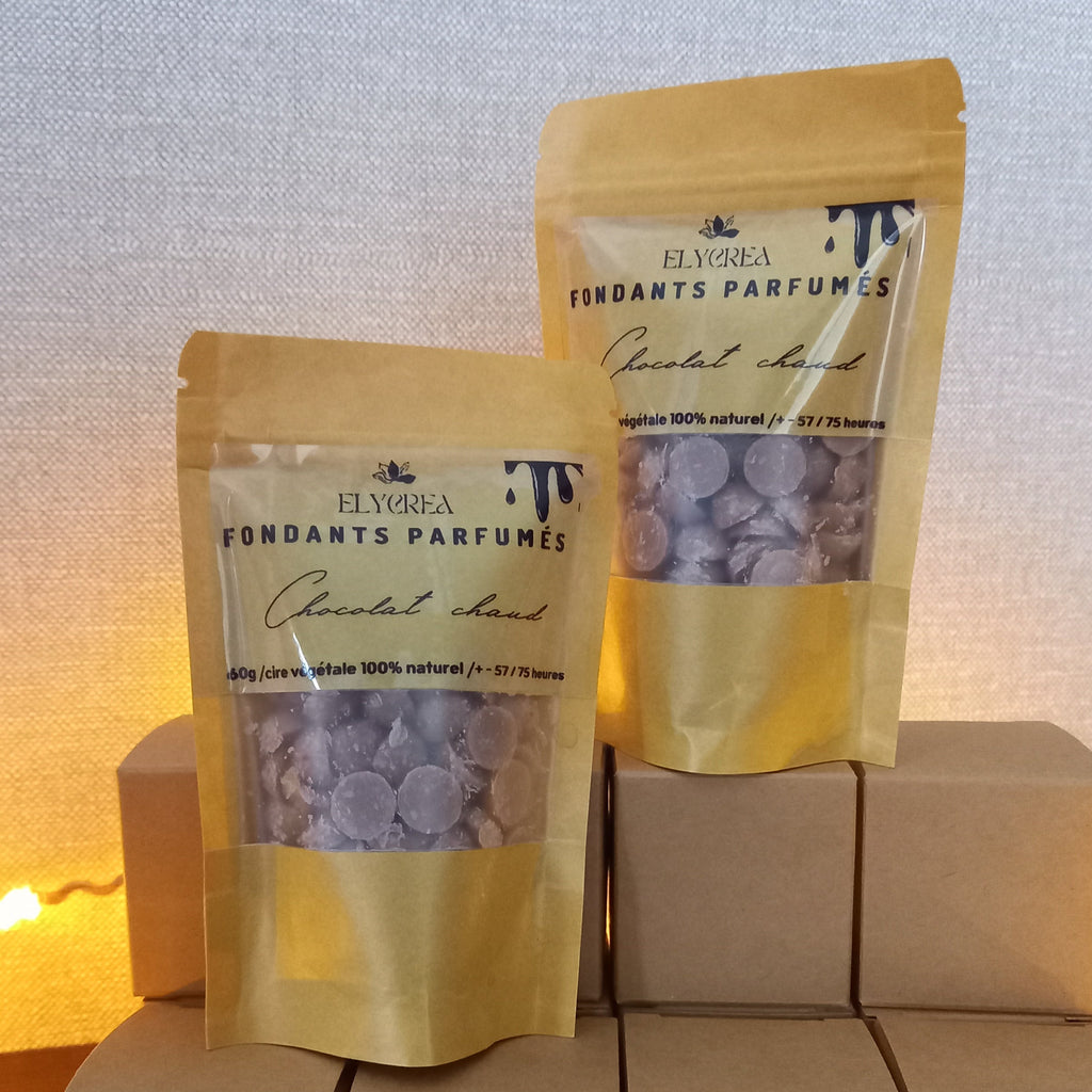 FONDANT BILLE chocolat chaud